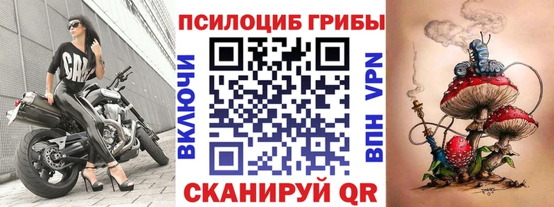 Псилоцибиновые грибы Cubensis  Ревда 
