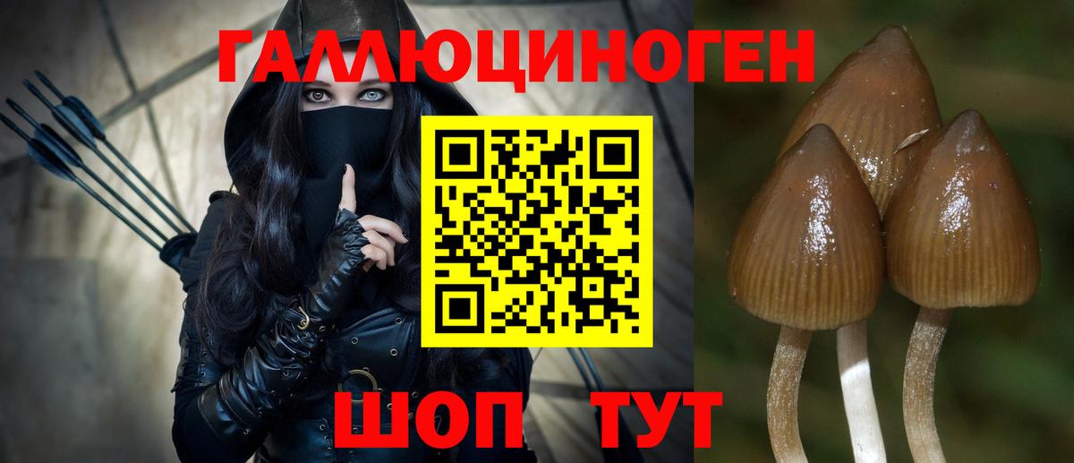 Псилоцибиновые грибы мухоморы  Вход с VPN  Ревда 